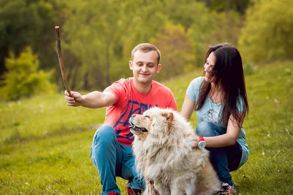 公園を散歩して 良い時間を過ごして 犬まぜこぜで若いカップルします — ストック写真