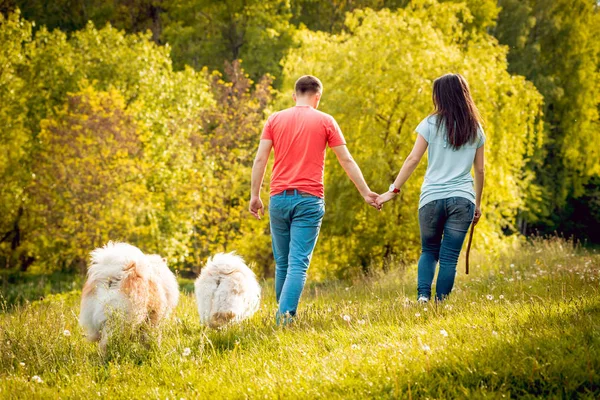 Unga Par Med Deras Hundar Chow Chow Promenader Parken Och — Stockfoto