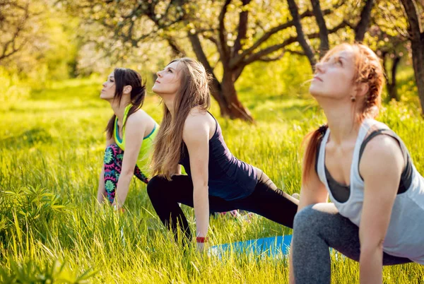 Three Young Girls Practicing Yoga Park — Stock Photo, Image