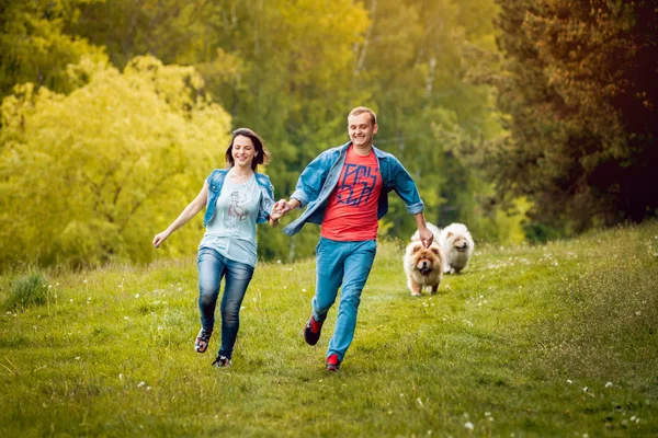 Young Couple Dogs Chow Chow Walking Park Having Good Time — Stock Photo, Image