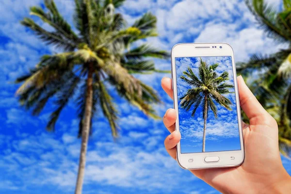 Bonita Vista Mar Con Palmeras Pantalla Teléfono Mano — Foto de Stock