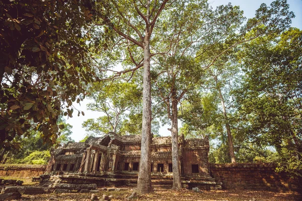 Камбоджа Ангкор Ват Березень 2016 Храм Ангкор Ват — стокове фото