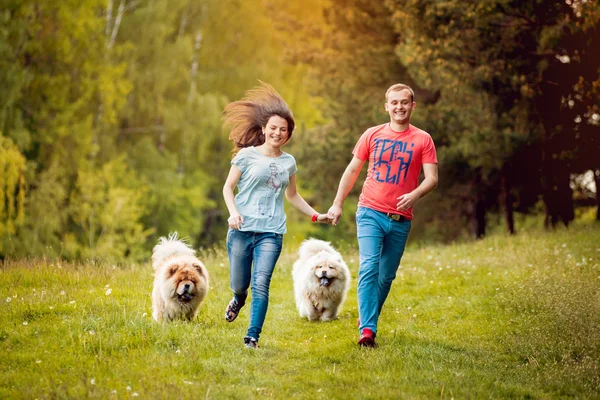 Young Couple Dogs Chow Chow Walking Park Having Fun — Stock Photo, Image