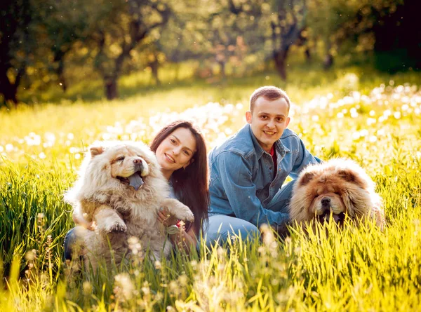 Fiatal Pár Kutyák Chow Chow Sétál Parkban Szórakozás — Stock Fotó