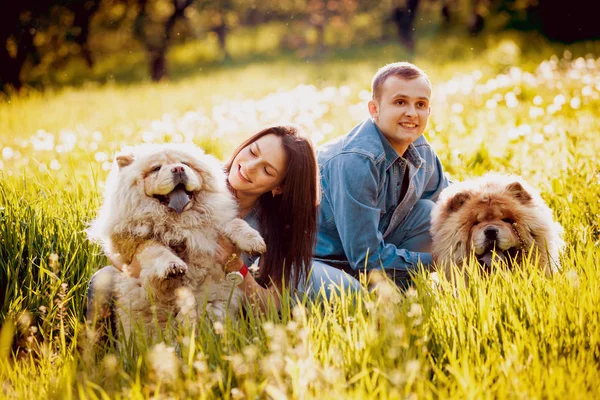 Fiatal Pár Kutyák Chow Chow Sétál Parkban Idő — Stock Fotó