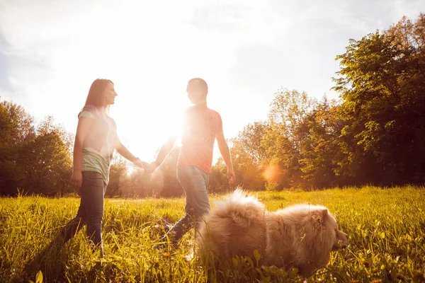 Unga Par Med Deras Hund Chow Chow Promenader Parken Och — Stockfoto