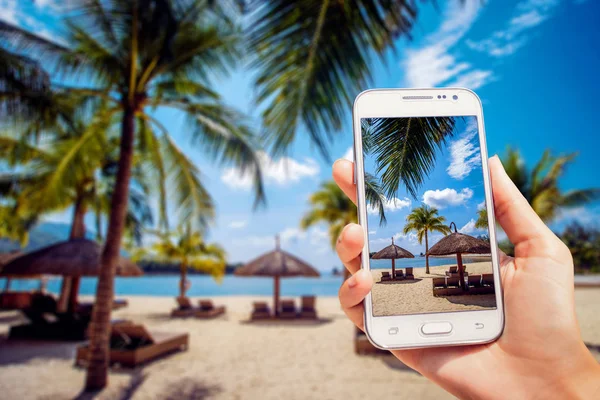 Bonita Vista Mar Con Palmeras Pantalla Teléfono Mano — Foto de Stock