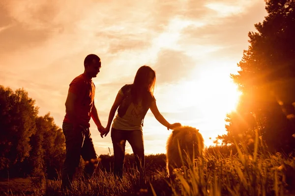 Jovem Casal Com Seu Cão Chow Chow Andando Parque Divertindo — Fotografia de Stock