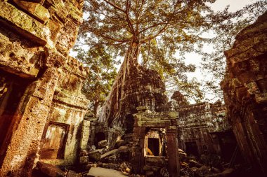 Kamboçya. Angkor Wat - Mart 14/2016: Angkor Wat Tapınağı.