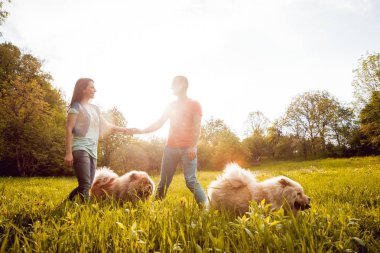 Genç çift ile onların köpekleri uyumak parkta yürüyüş ve having fun