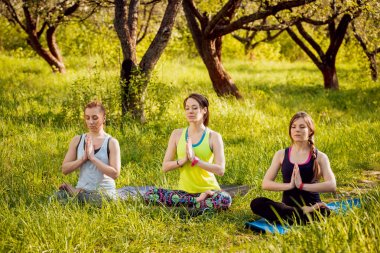 Pratik Yoga Park üç genç kız