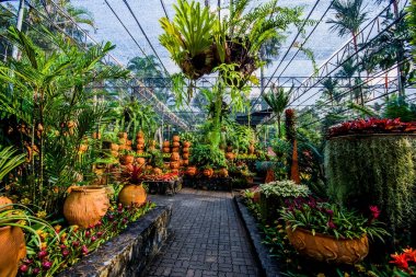 Egzotik bitkiler ile güzel orangery