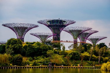 Singapur - 12 Mart: Şehir merkezinde. Bay tarafından bahçeleri. 