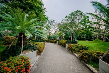 Asyalı güzel manzara. Geleneksel mimari ve Bahçe tasarımı.