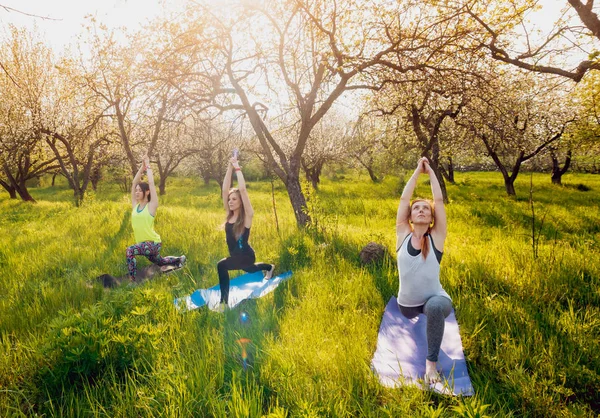 Three Young Girls Practicing Yoga Park — Stock Photo, Image