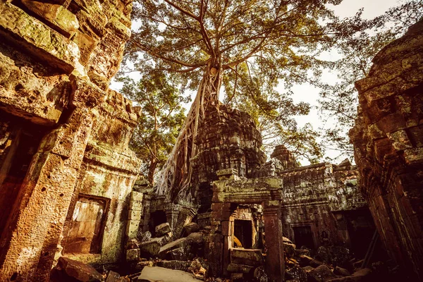 Καμπότζη Άνγκορ Βατ Μαρτίου 2016 Ναού Angkor Wat — Φωτογραφία Αρχείου