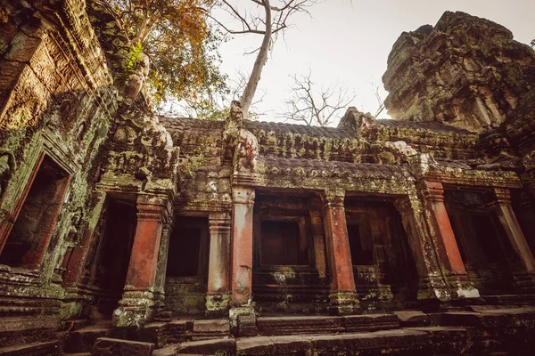 Kamboçya. Angkor Wat - Mart 14/2016: Angkor Wat Tapınağı.