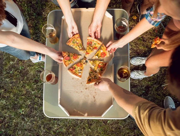 Cheerful caucasian friends on picnic in the park enjoing pizza with beer.