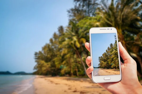 Beach Exotic Island Background — Stock Photo, Image