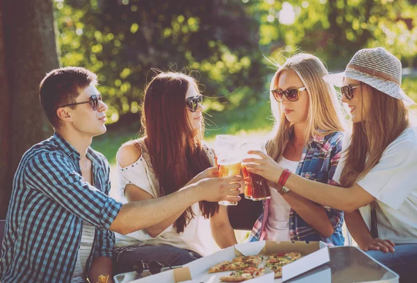 Fröhliche Freunde Trinken Bier Bei Picknick Park — Stockfoto