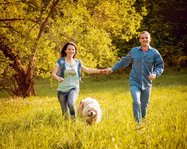 Unga Par Med Deras Hund Chow Chow Promenader Parken Och — Stockfoto