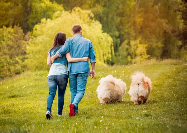 公園を散歩して 良い時間を過ごして 犬まぜこぜで若いカップルします — ストック写真