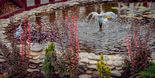 Mini Cascade Avec Une Fontaine Près Restaurant — Photo