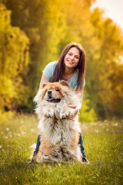 Młoda Brunetka Kobieta Jej Chow Chow Pies Spaceru Parku Dobry — Zdjęcie stockowe