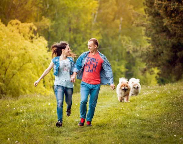 Pareja Joven Con Sus Perros Chow Chow Paseando Por Parque — Foto de Stock