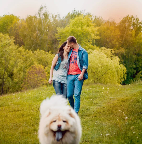 Fiatal Pár Kutya Chow Chow Sétál Parkban Idő — Stock Fotó