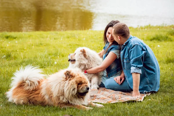 Pareja Joven Con Sus Perros Chow Chow Paseando Por Parque — Foto de Stock