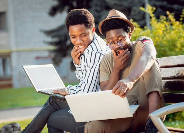 Two african students with laptops in green park.