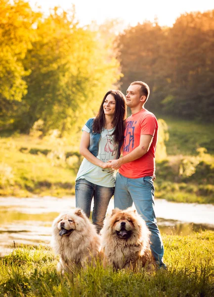 Genç çift ile onların köpekleri uyumak parkta yürüyüş ve having fun