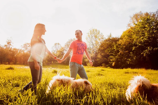 Fiatal Pár Kutyák Chow Chow Sétál Parkban Idő — Stock Fotó