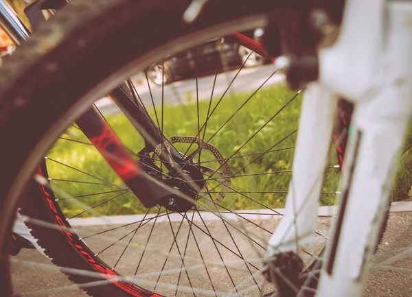 Bisiklet parçaları. Park arka plan üzerinde