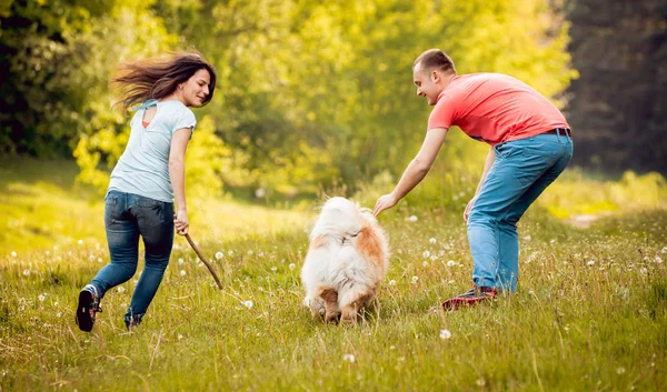 Unga Par Med Deras Hund Chow Chow Promenader Parken Och — Stockfoto