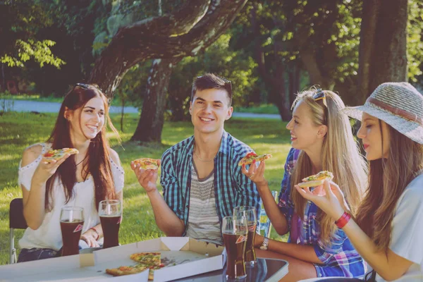 Veselý Přátel Piknik Parku Jíst Pizzu — Stock fotografie