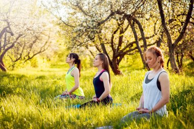 Pratik Yoga Park üç genç kız