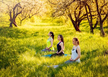 Pratik Yoga Park üç genç kız