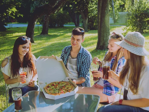 Fröhliche Kaukasische Freunde Beim Picknick Park Lächeln Und Reden — Stockfoto