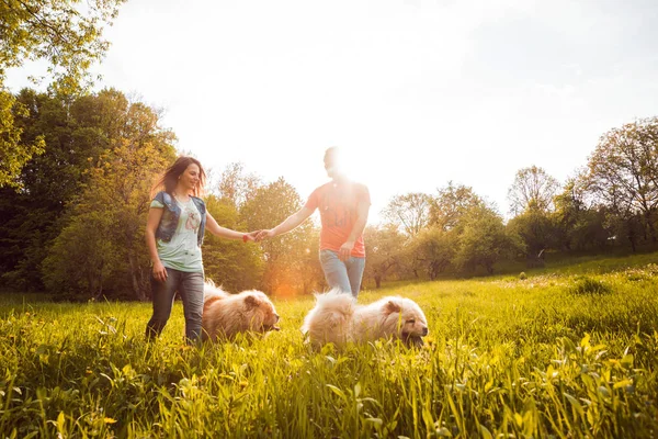 Genç çift ile onların köpekleri uyumak parkta yürüyüş ve having fun