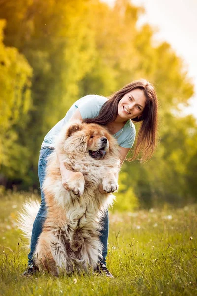 Joven Morena Con Perro Chow Chow Paseando Por Parque Pasándola — Foto de Stock