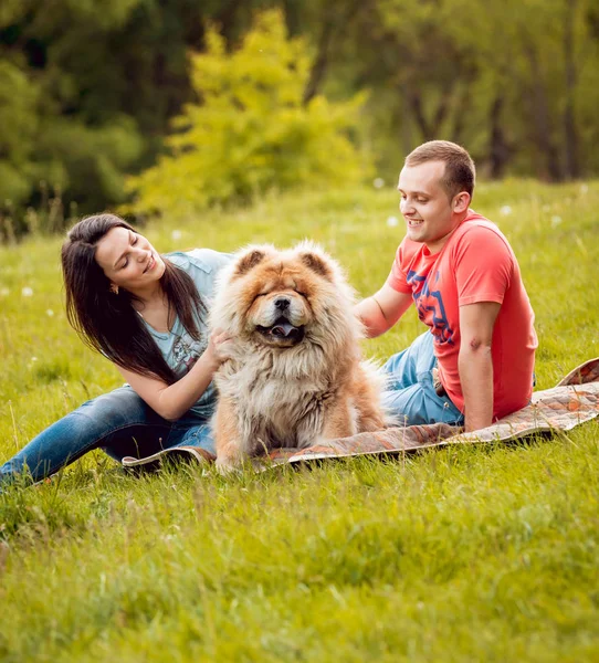 Parkta yürüyüş ve iyi vakit geçiriyorlardı onların köpek uyumak ile genç Çift