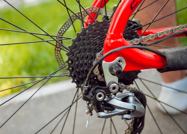 Bisiklet parçaları. Park arka plan üzerinde