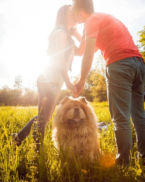 Parkta yürüyüş ve iyi vakit geçiriyorlardı onların köpek uyumak ile genç Çift