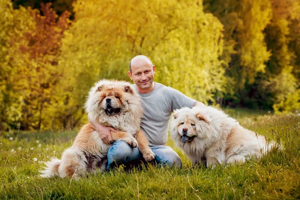 Hombre Adulto Jugando Con Sus Perros Chow Chow Parque — Foto de Stock