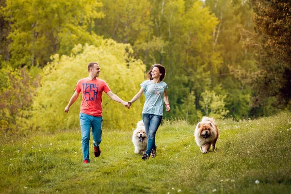 Fiatal Pár Kutyák Chow Chow Sétál Parkban Szórakozás — Stock Fotó