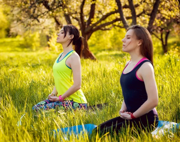 İki genç kız parkta Yoga uygulamak ve having fun