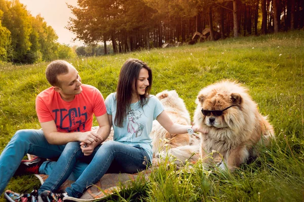 Young Couple Dogs Chow Chow Walking Park Having Good Time — Stock Photo, Image