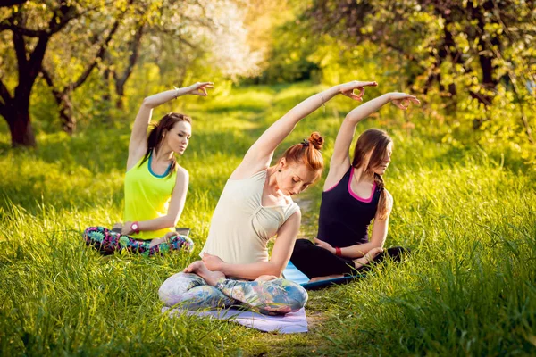 Pratik Yoga Park üç genç kız